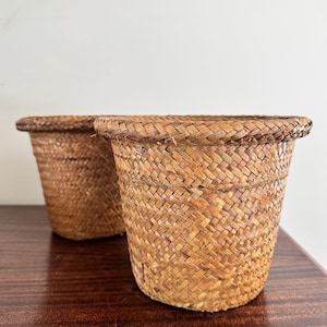 Wicker Planter With Plastic Liner - Etsy