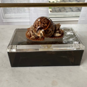 Vintage Grey Smoky Lucite Shell Box image 4