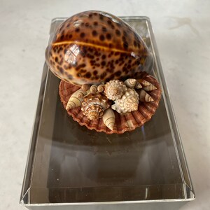 Vintage Grey Smoky Lucite Shell Box image 6