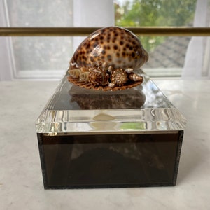 Vintage Grey Smoky Lucite Shell Box image 7