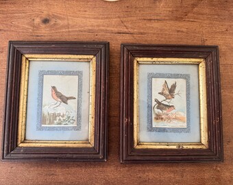 Láminas ornitológicas antiguas enmarcadas (un par)