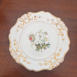 19th Century English Botanical Porcelain Cabinet Plate