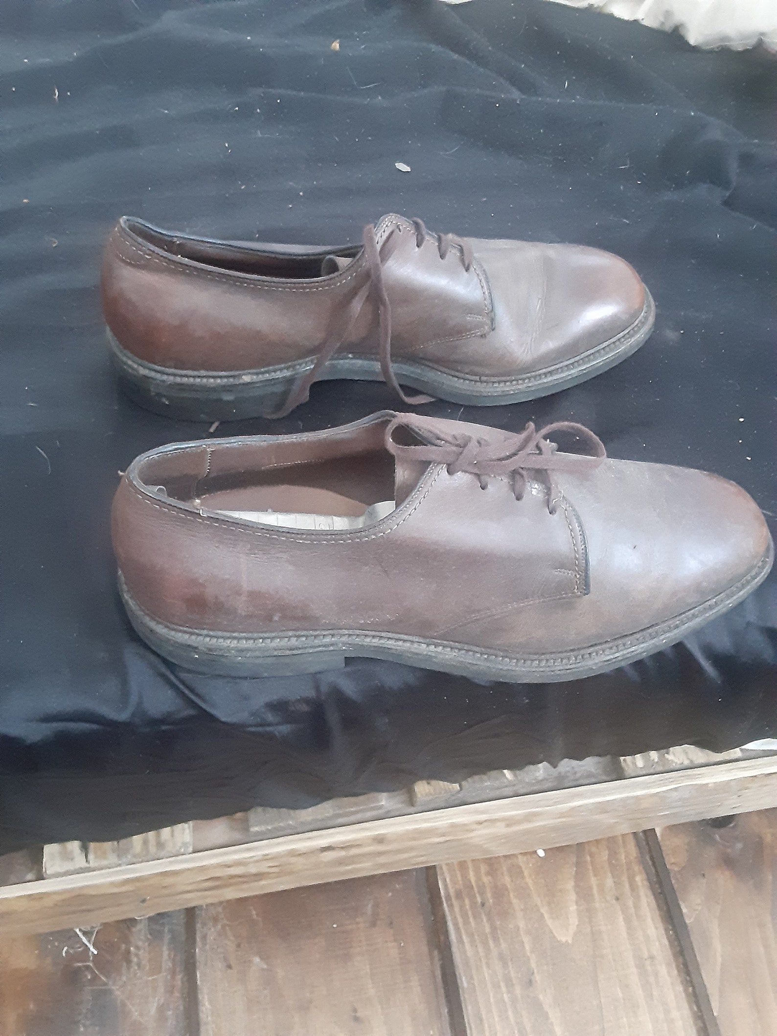 allen edmonds shoe shine