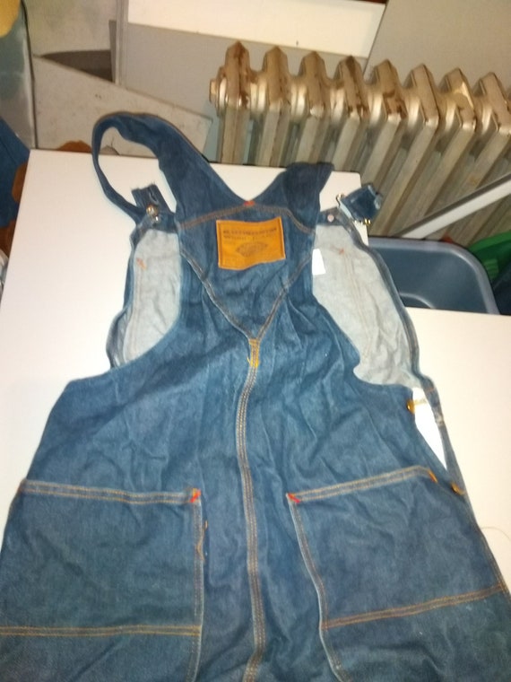 Deadstock bib overall Dickie's jean.cotton painte… - image 6