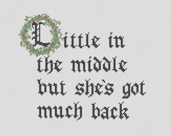 90er Jahre songtexte "Baby got Back" Kreuzstich MUSTER