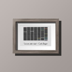 May include: Framed print with a black and white graphic of a bar chart with colored lines. The text "We are star-dust - Carl Sagan" is written below the graphic.