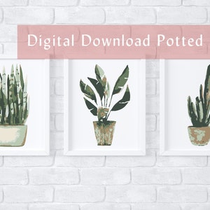 Potted Plants paint by number kit/color by number kit/custom paint by number/kids crafting kit/adult coloring kit/modern paint by number