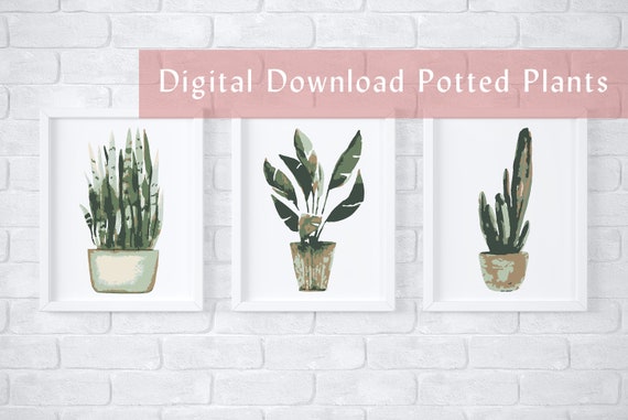Potted Plants Paint by Number Kit/color by Number Kit/custom Paint by  Number/kids Crafting Kit/adult Coloring Kit/modern Paint by Number 