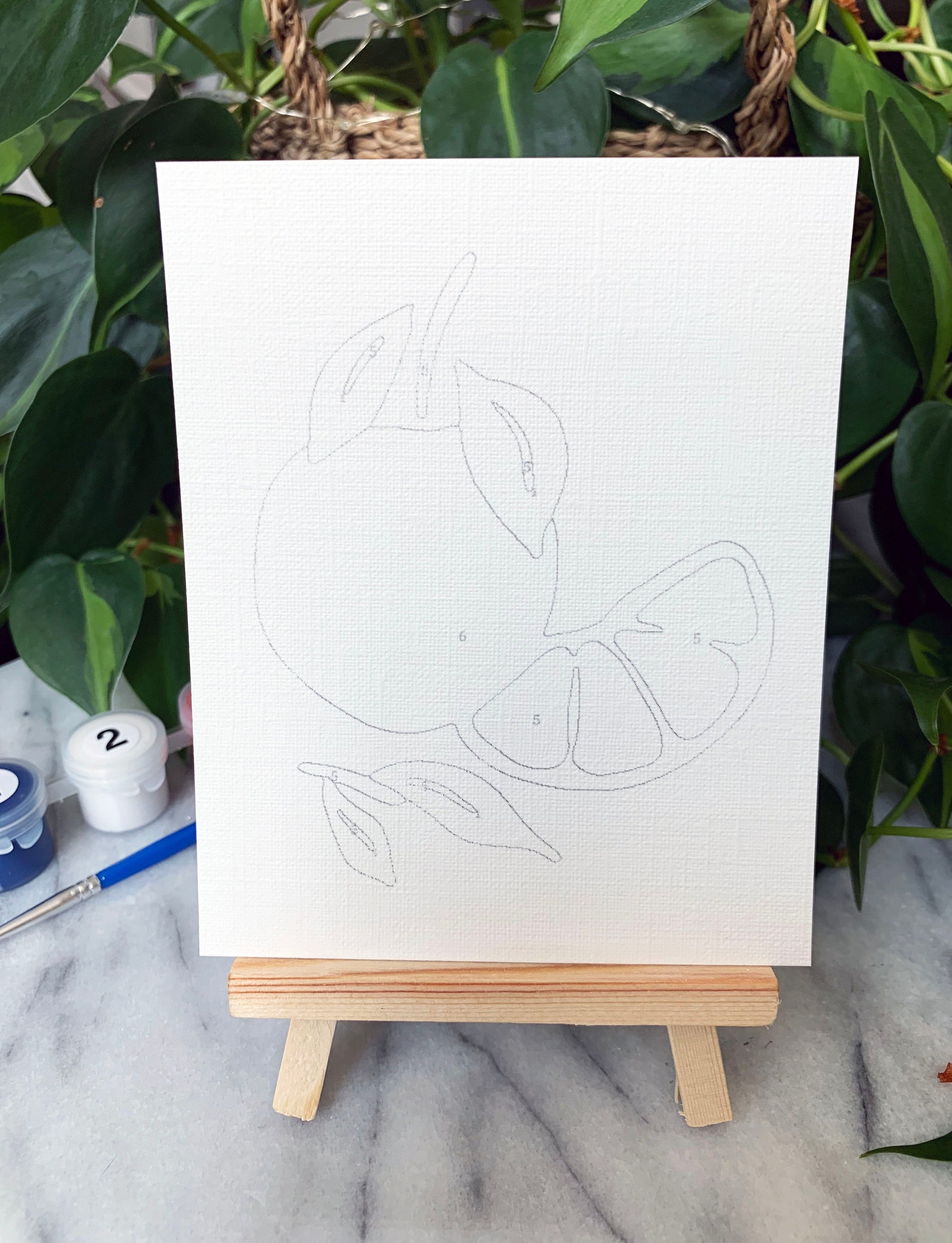 MINI Fruits Paint by Number Kit/color by Number Kit/mothers Etsy