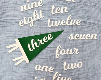Monthly milestone felt pennant/baby felt pennant/ month by month pennant