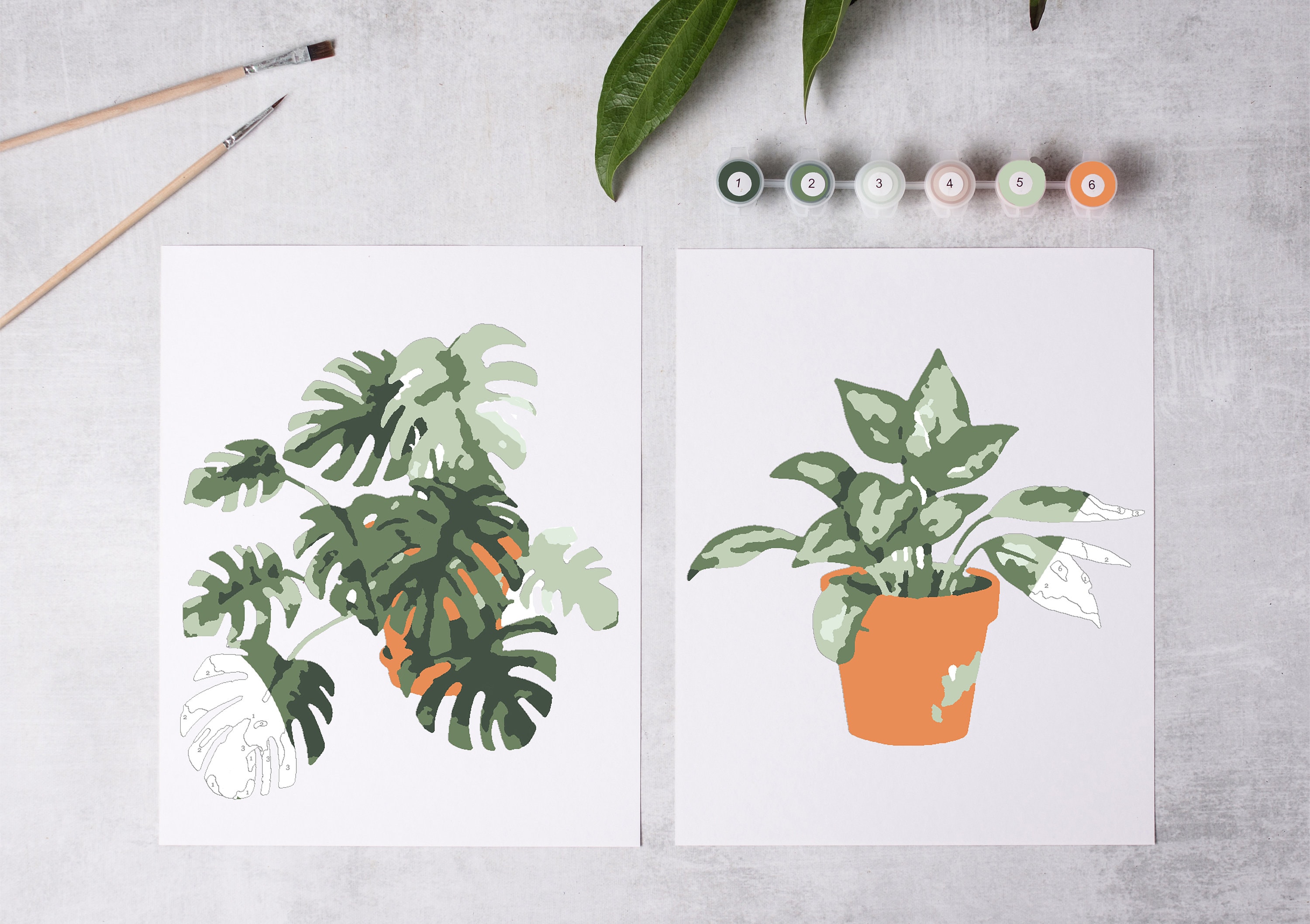 Potted Plants Paint by Number Kit/color by Number Kit/mothers Day