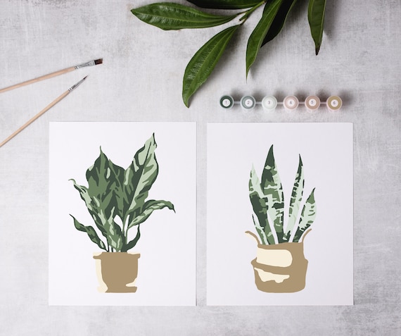 Potted Plants Paint by Number Kit/color by Number Kit/mothers Day