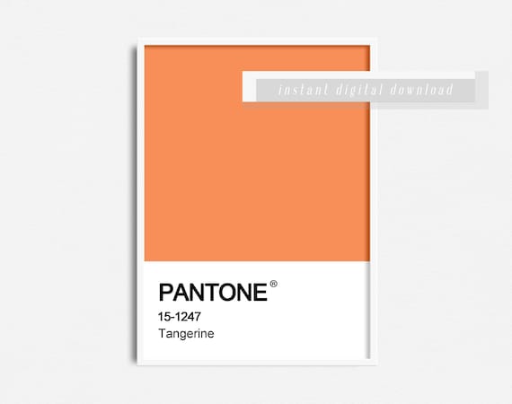 Pantone Farbe Druck Tangerine Orange Des Etsy 