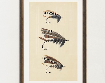 May include: Framed print featuring three detailed illustrations of fishing flies. Each fly is depicted with intricate feather and hook details, showcasing a variety of colors including brown, black, and white. The artwork is set against a cream-colored background.