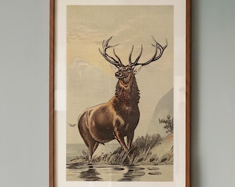 Retro Majestic Deer Print: Vintage Stag Poster, Wildlife Wall Art