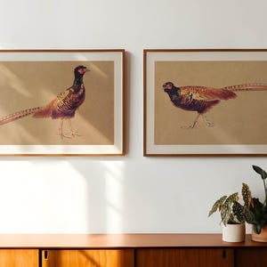Láminas retro de faisanes: Juego de 2 pósteres de arte al aire libre con temática de vida silvestre para decoración de cabañas