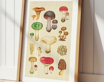 Retro Mushroom Print: Colorful Kitchen Wall Art, Rustic Farmhouse Decor