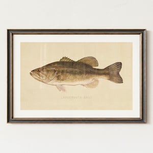 Largemouth Bass Print Retro Outdoors Art Bass Fish Poster Outdoors Wall Print Rustiek Office Decor Lake House Wall Art Vissen Cadeau voor papa