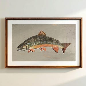 May include: A framed print of a fish, featuring a detailed illustration of a speckled trout. The fish has a gray body with dark spots, orange and red fins, and is set against a gray background. The frame is made of dark wood.