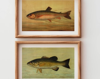 Set di 2 stampe di trote e pesci persici retrò all'aperto, decorazioni da parete per casa e ufficio, arte murale naturalistica, regalo di caccia per papà