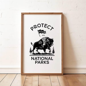 Poster di viaggio retrò dei parchi nazionali: proteggiamo i nostri parchi