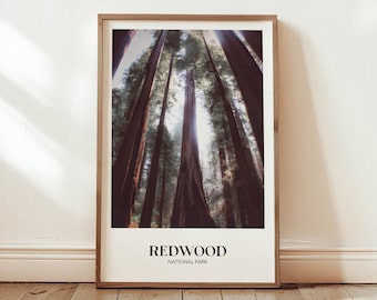Rustic Redwood National Park Poster | Country Travel Print | MidCentury Modern Art | Minimalist Decor | Vintage Style Wall Art | Gift
