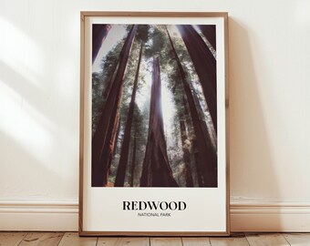 Redwood Nationalpark Poster | Vintage Reise Kunstdruck