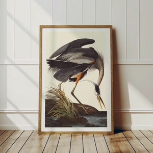 Impresión de garza azul Vintage pájaro arte retro pájaro pared decoración cabina pared arte azul garza cartel al aire libre papá regalo para él