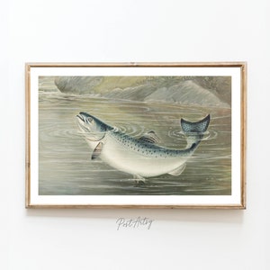 Vintage California Salmon Fishing Poster Retro Fishing Print Vintage Travel Poster Outdoorsy Wildlife Decor Fisherman Wall Art Gift Dad