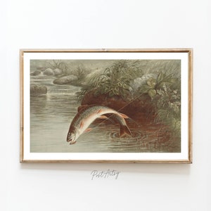 May include: A vintage illustration of two trout jumping out of a stream. The fish are brown and white with red spots. The stream is surrounded by green foliage and rocks.