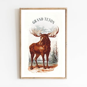 Grand Teton Druck Vintage Nationalpark Poster Retro Reise Dekor Wyoming Tetons Outdoorsy Wand Kunst Geschenk für Reisende