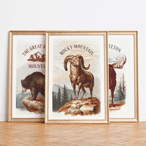 Juego de 3 pósteres vintage de parques nacionales, impresiones de viajes por el campo, estilo vintage, vida salvaje, decoración de aventuras, arte de pared al aire libre, juego de regalo