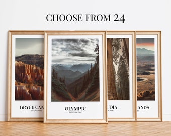 Any 4 National Park Posters | Set of 4 | Country Travel Prints | Rustic Vintage Style Wildlife Adventure Decor Outdoorsy Wall Art Gift Set