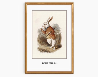 May include: A framed print of a white rabbit wearing a waistcoat and holding a pocket watch. The rabbit is standing on a grassy path and the text "DON'T FALL  IL" is printed below the image.