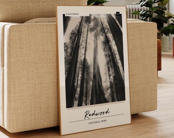 May include: A black and white photograph of tall redwood trees in Redwood National Park, California. The image is framed in a light wood frame.