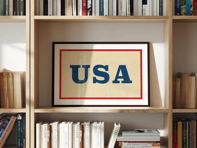 Puede incluir: Un cuadro enmarcado con la palabra "USA" en letras azules sobre un fondo crema, con un borde rojo y un marco negro. El cuadro se exhibe en una estanter&iacute;a de madera llena de libros.