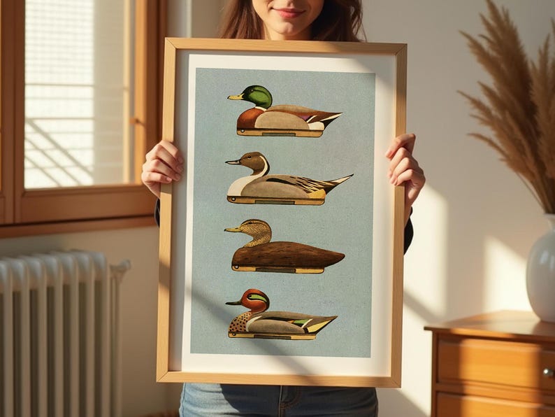 Pu&ograve; includere: Una stampa incorniciata di quattro diversi tipi di anatre. Le anatre sono raffigurate in uno stile vintage con illustrazioni dettagliate delle loro piume e dei loro becchi. La stampa &egrave; su uno sfondo blu chiaro con un bordo bianco.