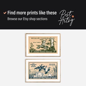 May include: Two framed vintage prints featuring wildlife conservation themes. The top print showcases a wild turkey, while the bottom print depicts migratory birds. Both prints have a postage stamp design with text.