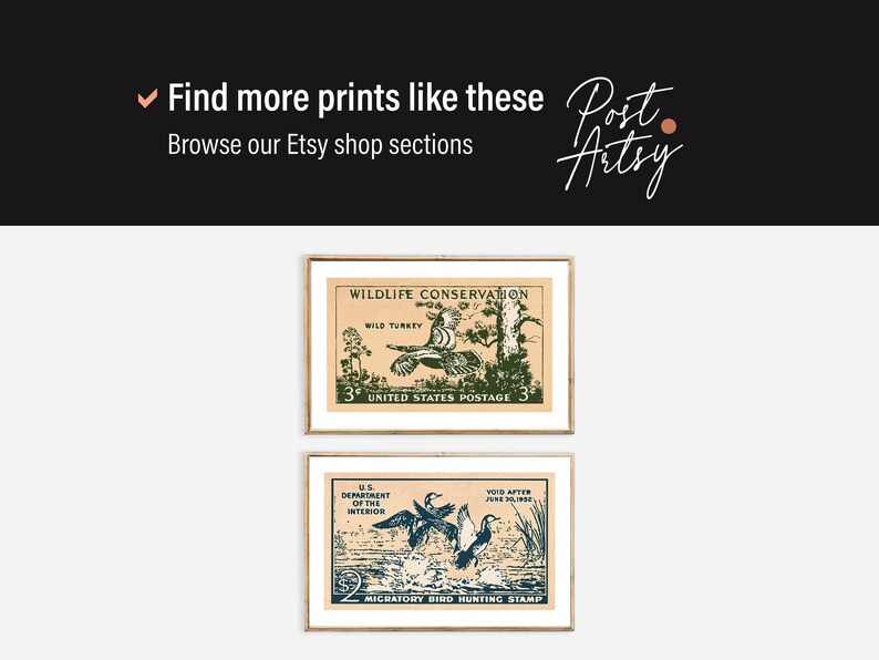 May include: Two framed vintage prints featuring wildlife conservation themes. The top print showcases a wild turkey, while the bottom print depicts migratory birds. Both prints have a postage stamp design with text.