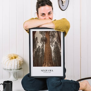 K&ouml;nnte beinhalten: Ein gerahmter Druck eines hohen Mammutbaums im Sequoia National Park. Der Druck ist in einem schwarzen Rahmen und hat einen wei&szlig;en Hintergrund mit dem Text "Sequoia National Park" unter dem Bild.