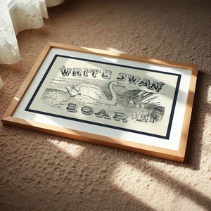 May include: A framed print with a black and white swan illustration and the words "WHITE SWAN SOAR". The print is in a wooden frame with a black border. It rests on a beige carpet, with sunlight casting shadows across the scene.