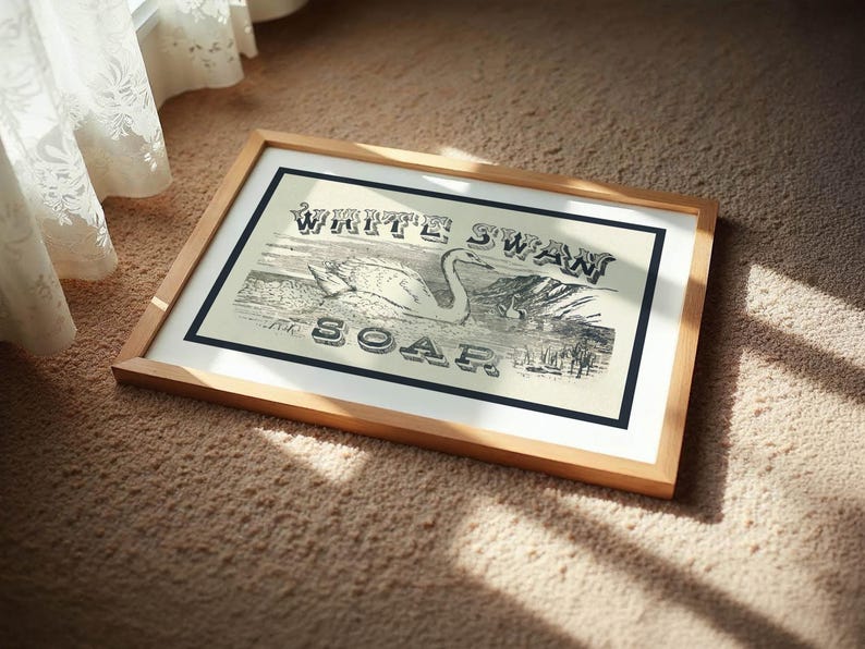 May include: A framed print with a black and white swan illustration and the words "WHITE SWAN SOAR". The print is in a wooden frame with a black border. It rests on a beige carpet, with sunlight casting shadows across the scene.