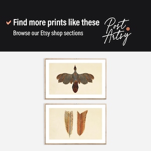 May include: Two framed vintage bird prints. The top print features a bird with brown and gray feathers. The bottom print shows two brown and orange feathers. The prints are displayed on a light beige background. The top of the image has the text "Find more prints like these" and "Browse our Etsy shop sections".