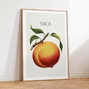 May include: A framed art print featuring a vintage illustration of a ripe peach with green leaves and a branch. The word "NICE" is printed above the peach. The artwork is set against a light background.