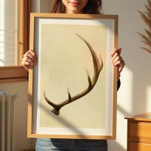 May include: A framed print of a vintage illustration of a single antler on a beige background.