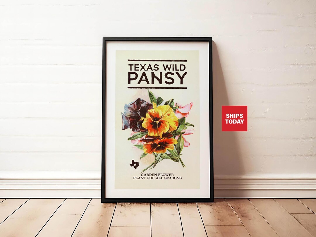 Organic cotton t-shirt - PANSY FANTASY retro - Retro pansy print main image 1