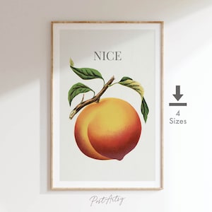 May include: A framed print featuring a vintage illustration of a ripe peach with green leaves and the word "NICE" above it. The peach is a blend of yellow and red hues, set against a neutral background. The print is in a wooden frame.