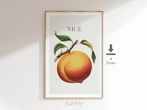 Funny Peach Bathroom Art, Retro Toilet Humor Print (Digital Download)