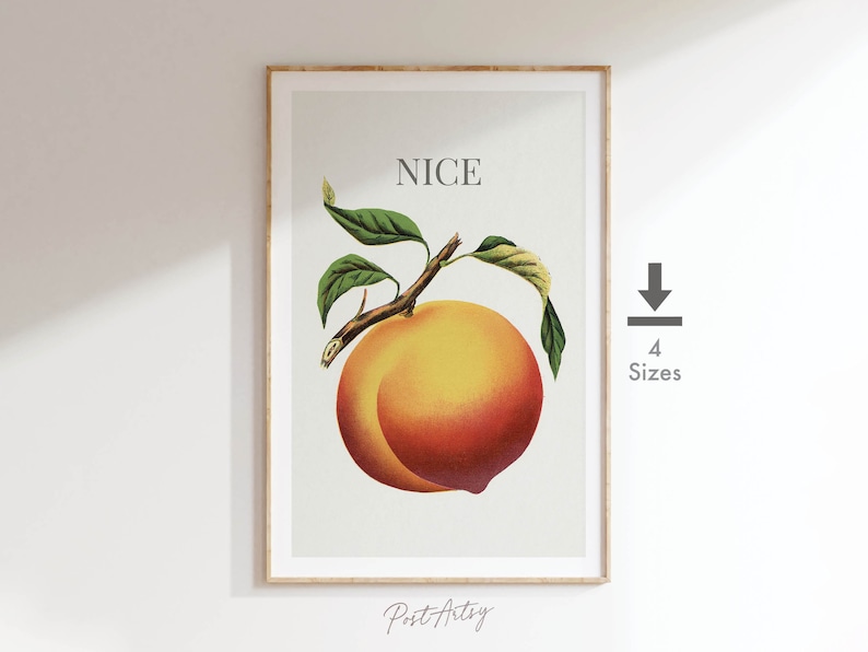 May include: A framed print featuring a vintage illustration of a ripe peach with green leaves and the word "NICE" above it. The peach is a blend of yellow and red hues, set against a neutral background. The print is in a wooden frame.