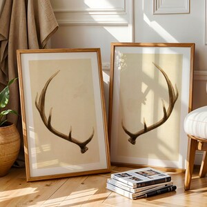 May include: Two framed prints of a brown antler on a beige background. The frames are made of wood and have a natural finish. The prints are displayed on a wooden floor with a stack of books in front of them.